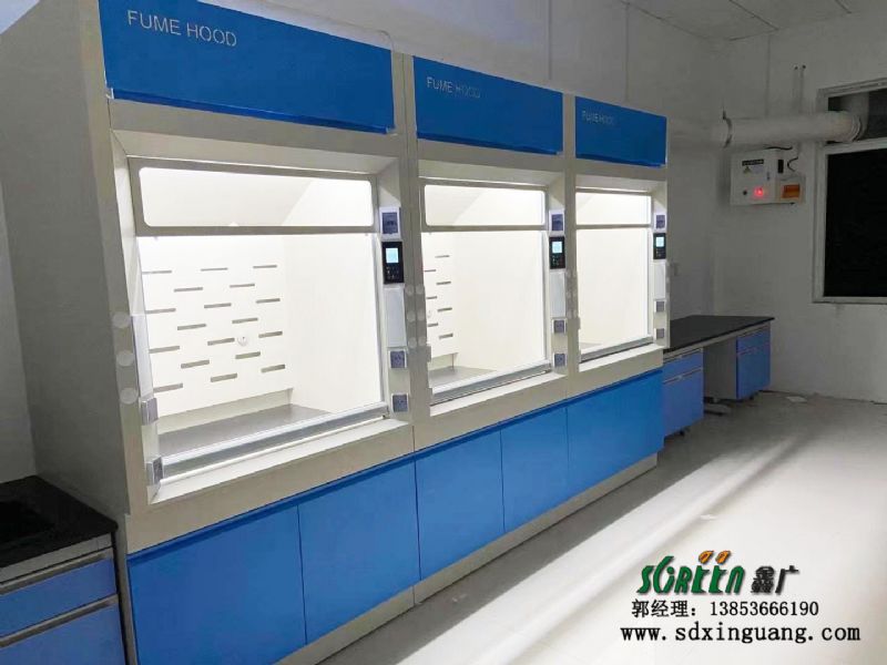 河北保定實(shí)驗(yàn)臺臺通風(fēng)柜定做廠家